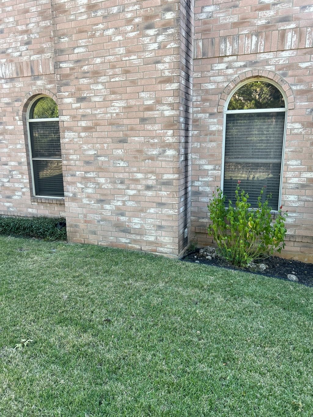 Old aluminum windows on red brick home two separate openings before Anlin Panoramic arch-top replacement Austin TX by Glacier Home Exteriors